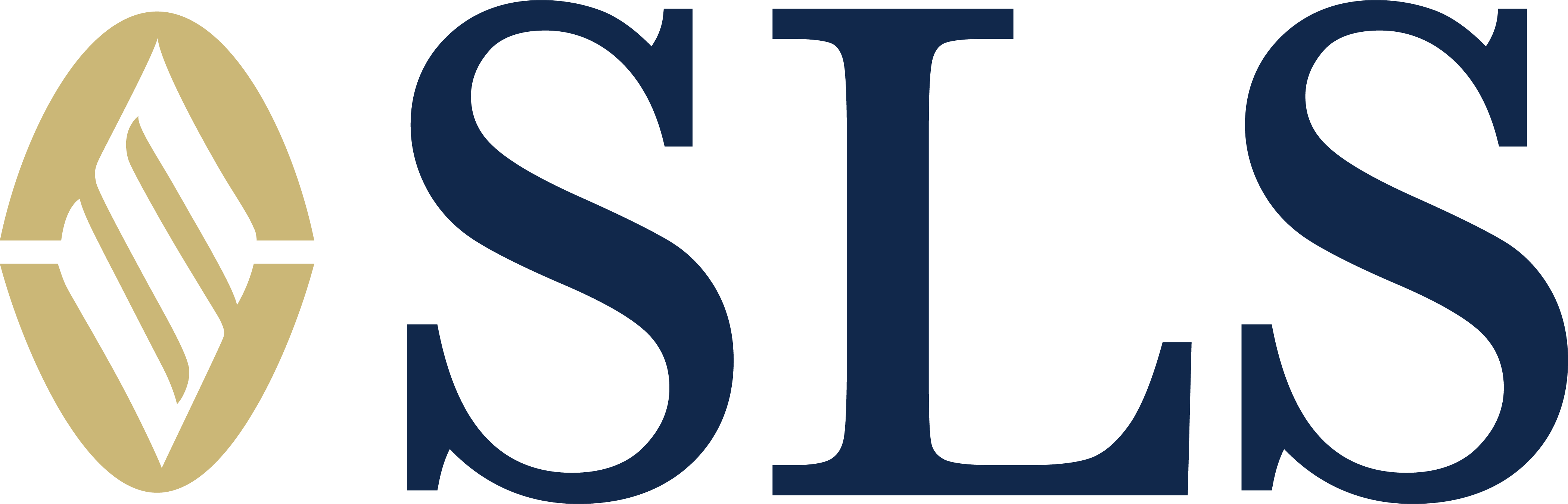 SLS logo